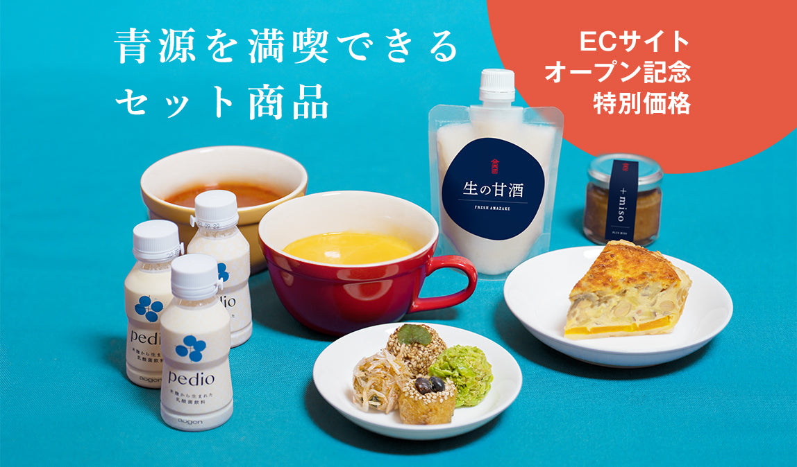 Fermented Food Set (Shipping Included)