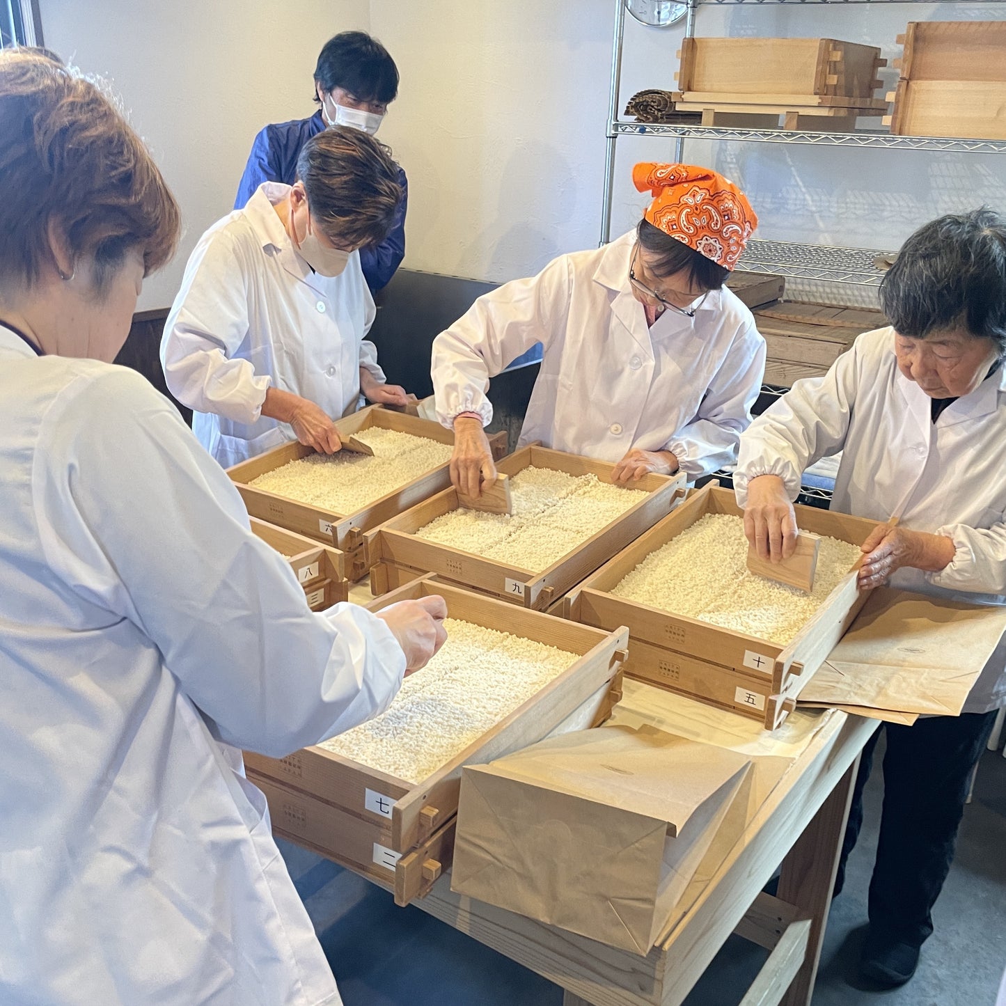 
                
                  麹造り体験教室　麴室でプロと仕込む三日間
                
              