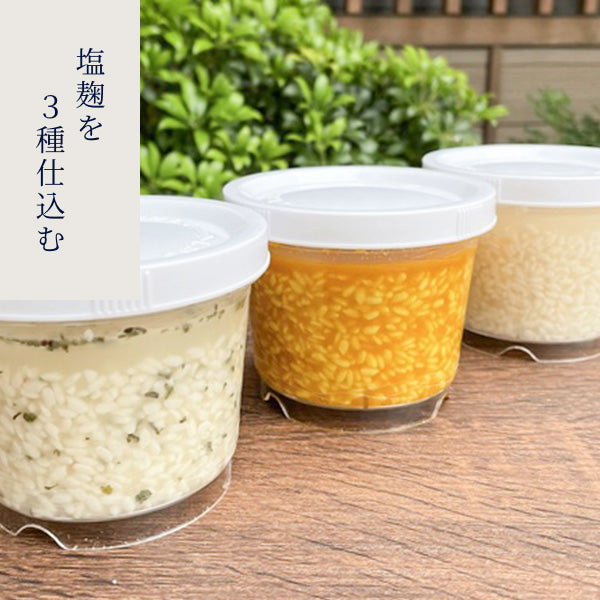 発酵Labo  塩麹を3種仕込む