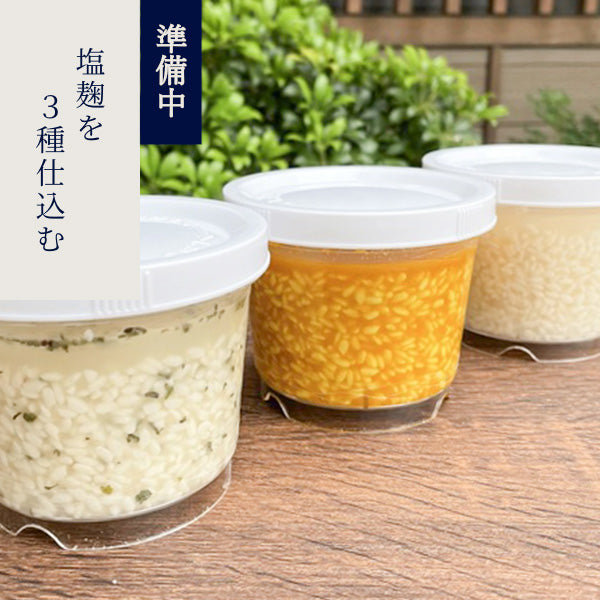 Fermentation Lab: Make Three Kinds of Shio-Koji