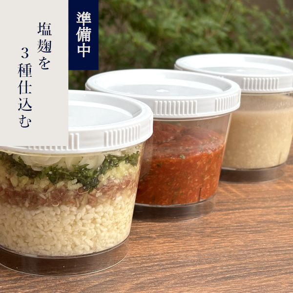 Fermentation Lab: Make Three Kinds of Shio-Koji
