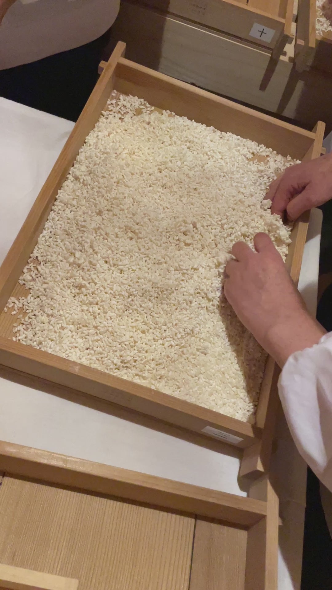 
                
                  ギャラリービューアでの動画の読み込みと再生 麹造り体験教室　麴室でプロと仕込む三日間
                
              